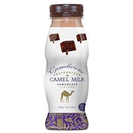 Flavored Camel Milk: Chocolate