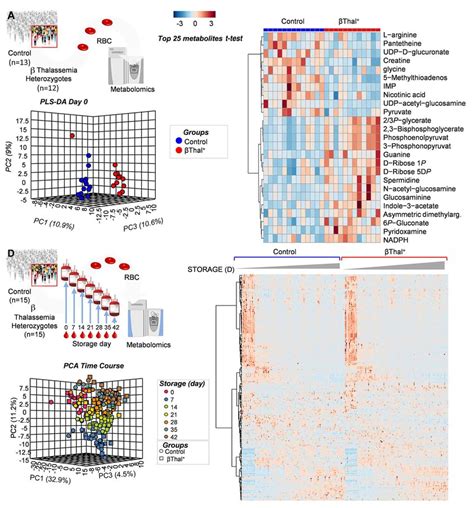 Metabolomics Analyses Of Fresh And Stored Red Blood Cells From Control