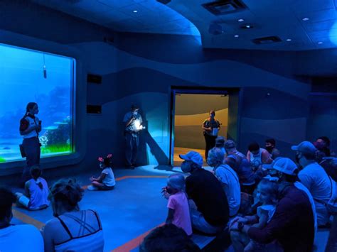 Photos Video Turtle Talk With Crush Reopens At Epcot Wdw News Today