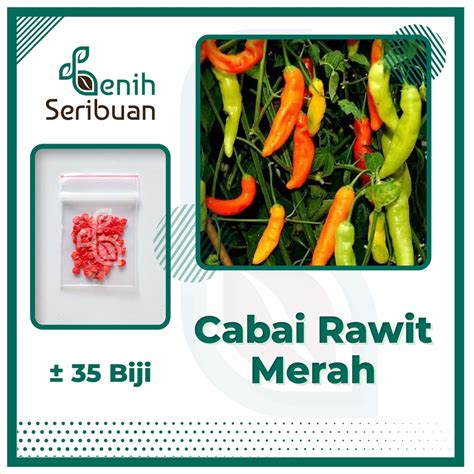 Jual Biji Benih Cabe Rawit Merah Cabai Sigantung Unggul