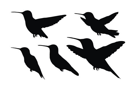 Hummingbird Flying In Different Positions Silhouette Set Vector Small