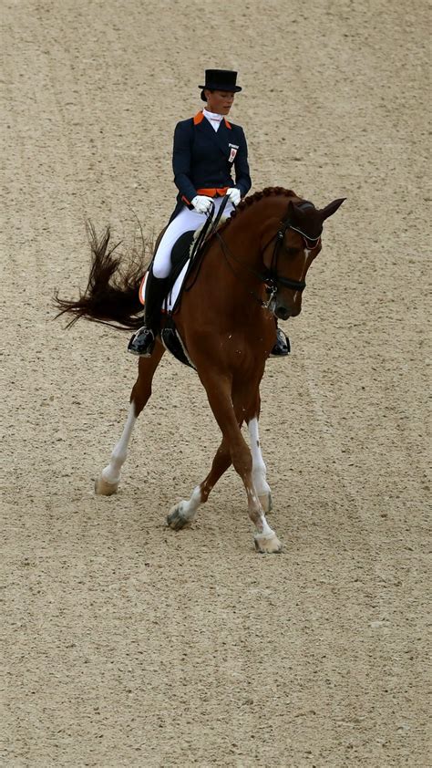 Olympic Equestrian | Paris 2024 Olympics