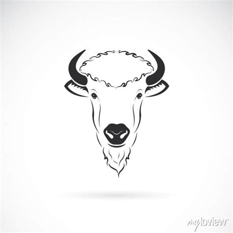 Vector Of Bison Head Design On White Background Wild Animals • Wall