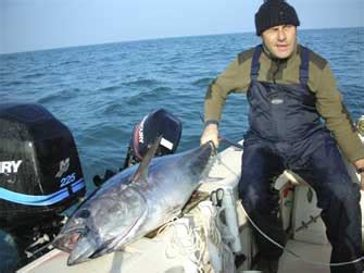 Biggame It Pesca In Drifting Al Tonno Team Janet Pesaro Adriatico