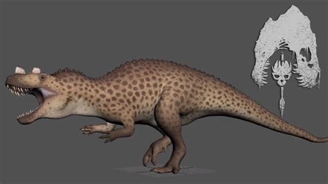 All Ceratosaurus Animations So Far The Isle Evrima Youtube