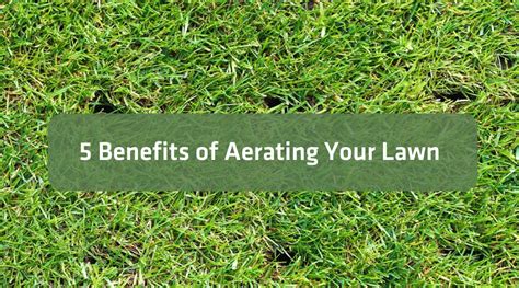 5 Benefits Of Aerating Your Lawn