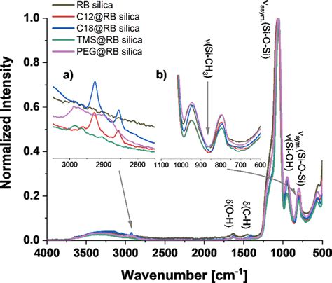 Ft Ir Spectra Of Rhodamine B Silica Nps And Different Alkyl