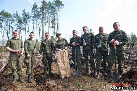 O Nierze Sadzili Las Tygodnik Siedlecki