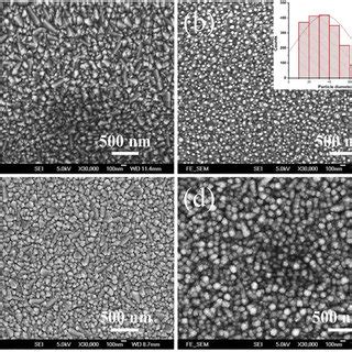 Scanning electron micrographs of the surface morphologies of different ... 