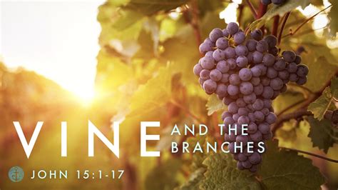 John 15:1-17 The Vine and Branches Midweek — HAMPTON ROADS CHURCH