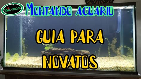 Como Montar Un Acuario F Cil Y R Pido Gu A Para Novatos Biomaa