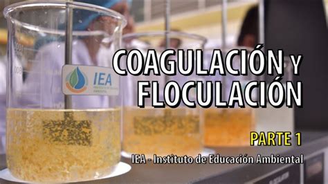 Floculante Para Tratar Aguas Residuales De Forma Efectiva Tratamos El