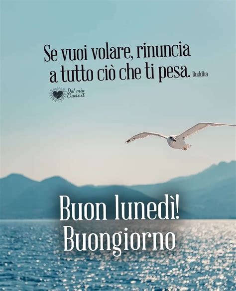 Frasi Buongiorno E Buon Luned Per Ogni Gusto Divertenti D Amore Formali