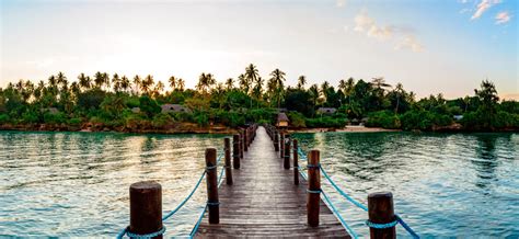 Qual è il periodo migliore per viaggiare a Zanzibar Tutte le