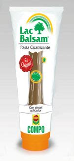 Cuida Tus Plantas Con Pasta Cicatrizante Jardiner A