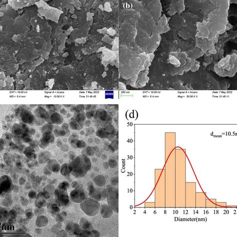 The Ftir Spectra Of Pure Cuo Nps A Pristine Nacmc B And