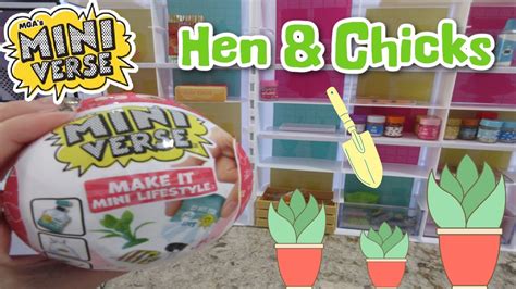 Miniverse Make It Mini Lifestyle Hen Chicks Plant YouTube