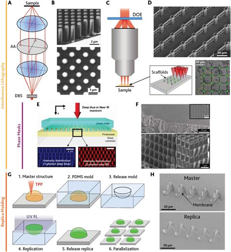 Recent Advances On Highspeed And Holographic Twophoton Direct Laser