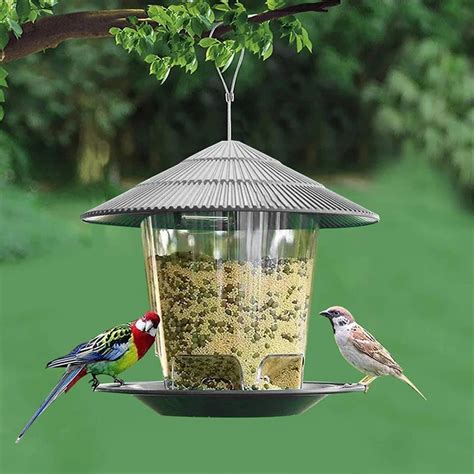 Mangeoire Pour Oiseaux Sauvages Avec Ul Suspendre Belv D Re De Jardin