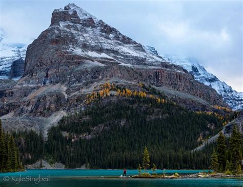 Lake O'hara Loop Photo | 2016 Hiking Photo Contest | Vancouver Trails