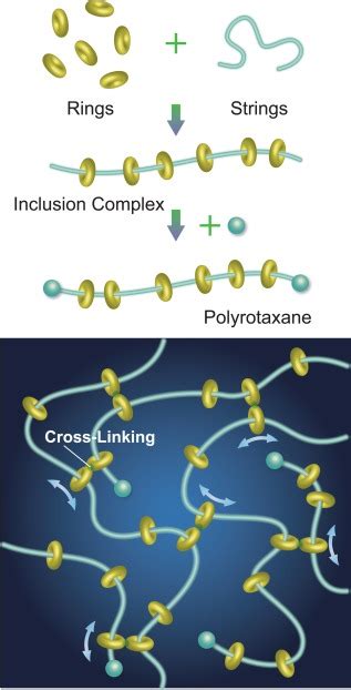 Schematic Diagram Of Pr And Slide Ring Gel Color Figure Can Be Viewed