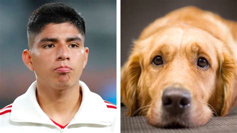 Pumas Piero Quispe Enternece A Las Redes Tras Despedirse De Su Perrito