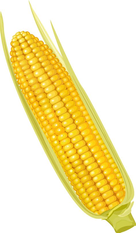 corn on the cob clip art 4