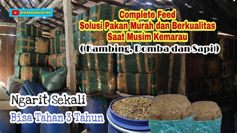 Ngarit Sekali Bisa Tahan Sampai Tahun Complete Feed Solusi Pakan