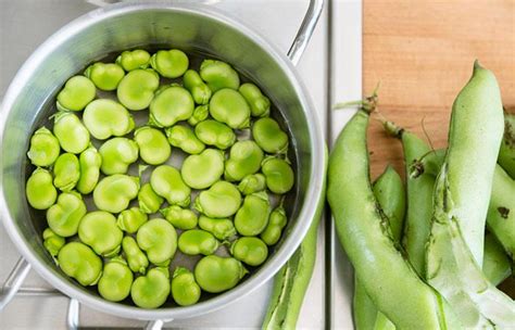 The 6 Powerful Benefits Of Fava Beans An Incredible Recipe