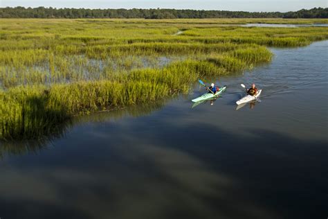 Estuary Science ~ What is an Estuary? ~ Restore America's Estuaries