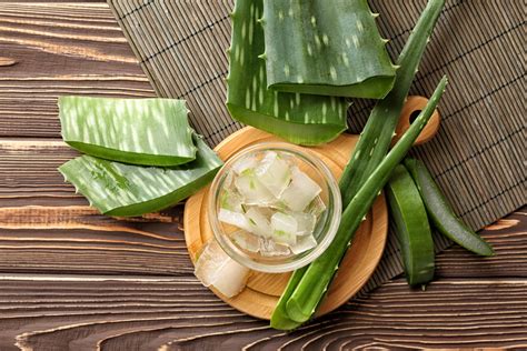 8 Reasons Dermatologists Think You Should Rub Aloe Vera Gel On Your