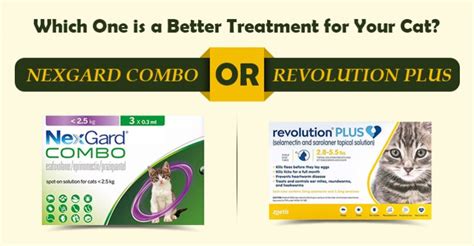 Which One Is A Better Treatment For Your Cat Nexgard Combo Or Revolution Plus Budgetvetcare Blog