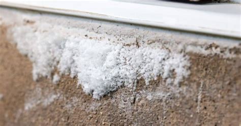 What is concrete efflorescence - craftingwithconcrete.com