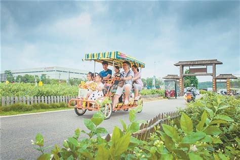 广西横州市：谱写“世界茉莉花都”发展新华章 国际在线