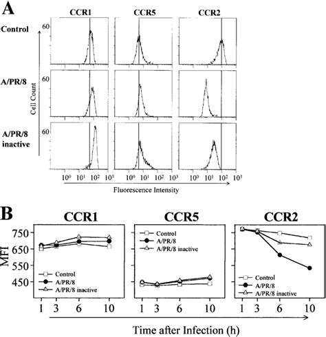 Cell Surface Expression Of Ccr1 Ccr5 And Ccr2 After Influenza A Virus