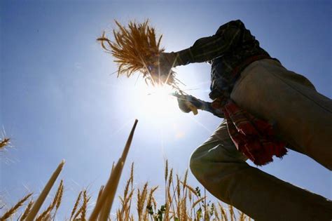 Saudi Arabia Says It Will Begin Next Phase Of Flour Mill Privatisation