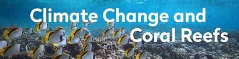 Climate Change and Coral Reefs