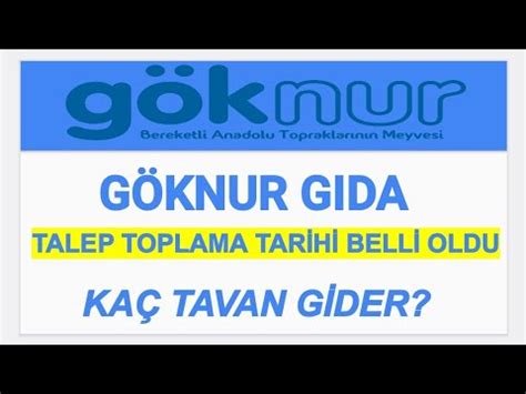 GÖKNUR GIDA HALKA ARZ DEĞERLENDİRMESİ KAÇ LOT DÜŞER KAÇ TAVAN GİDER