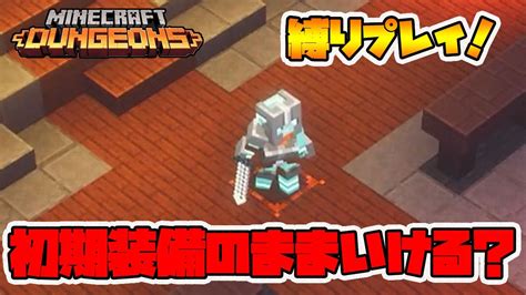 最新タワー縛りプレイ！初期装備のままクリアできるか！？【マイクラダンジョンズ】【naotin】 Youtube