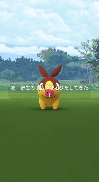 【ポケモンgo】ポカブ大量発生中に想定外の超レア色違いに遭遇！？ 星の砂3倍も激アツ【コミュニティデイ】 ラプラス大好きトレーナーの