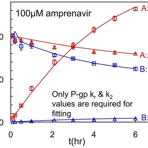 Model Of The Confluent Monolayer Of Polarized Cells Model Of A