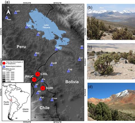 Study area. (a) Map of the northern Altiplano region showing the ...