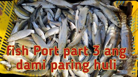 Fish Port Part 3 Ang Dami Paring Huli YouTube