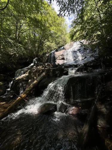 Best Hikes and Trails in Snowbird Wilderness Study Area | AllTrails