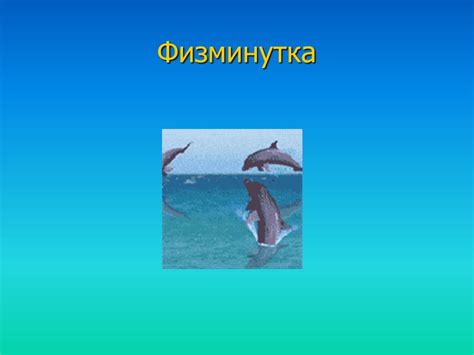 Презентация "Китообразные" (5 класс) по биологии – скачать проект