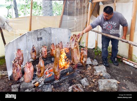 Indigenous Man Cooking Wild Meat Over Open Fire Northern Quebec