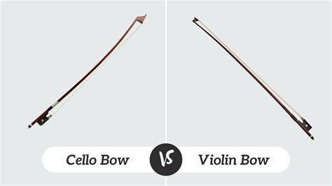 Violin Bow Vs Cello Bow What Are The Differences CMUSE