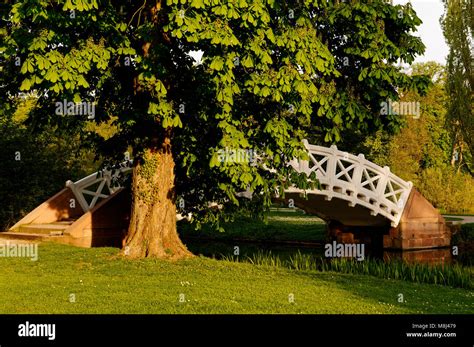 Schwetzingen Bridge And Chestnut In The Landscape Garden Of