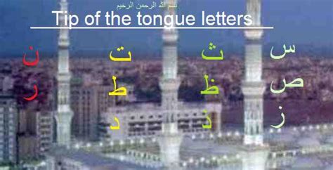 Tip Tongue Letters 2 ت ط د