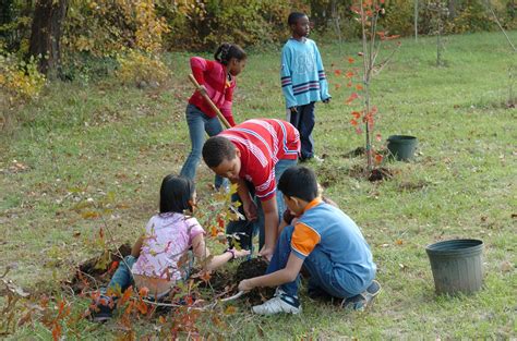 Arbor Day Hvorfor Skal Du Plante Et Tre Med Barna Dine